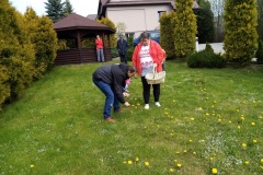 Miód z mniszka lekarskiego 9.05.2022