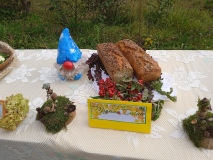 IMG_20221006_130752_1