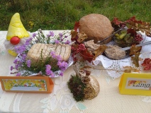IMG_20221006_130800